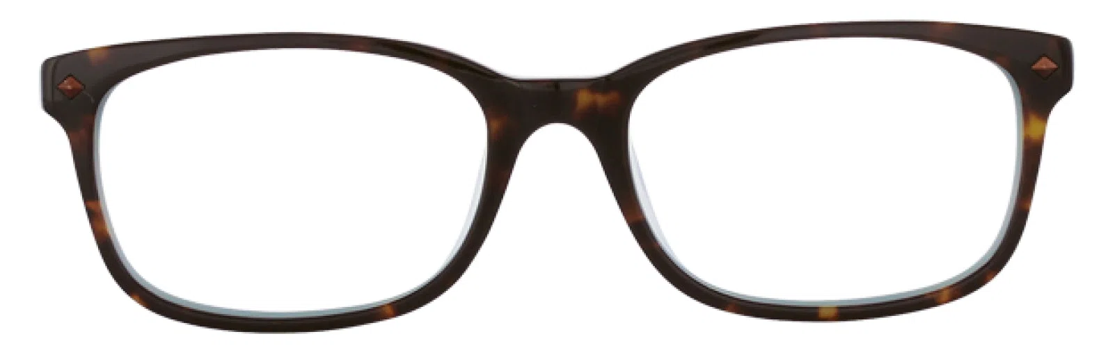 Via Spiga VSOlga Eyeglasses - Tort/lt. Blue - view 4